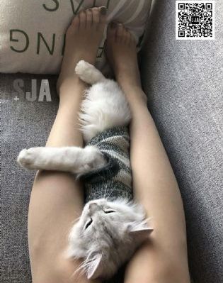 无耻之徒俄版第一季在线观看