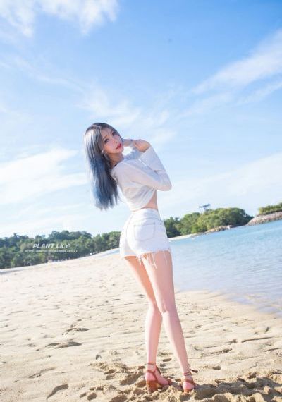 谍战剧《惊弦》免费观看高清